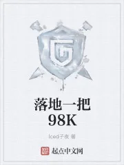 《落地一把98K》小说封面