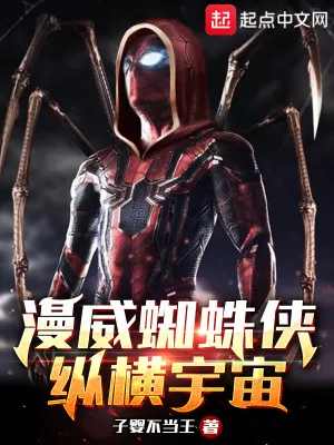 《漫威蜘蛛侠：纵横宇宙》小说封面