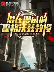 《混在漫威的霍格沃兹教授》小说封面