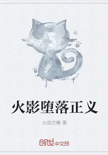 《火影堕落正义》小说封面