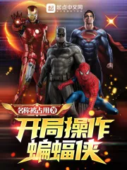 《开局操作蝙蝠侠》小说封面
