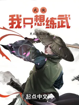 《武侠：我只想练武》小说封面