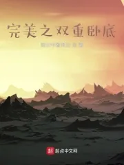 《完美之双重卧底》小说封面