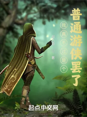 《我真不过是个普通游侠罢了》小说封面