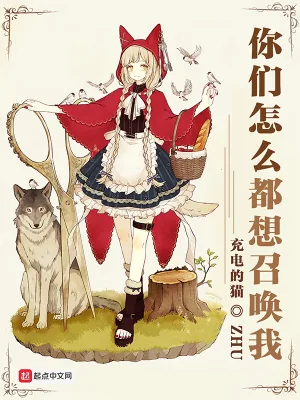 《你们怎么都想召唤我》小说封面