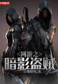 《网游之暗影盗贼》小说封面