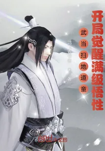 《武当扫地道童,开局觉醒满级悟性》小说封面