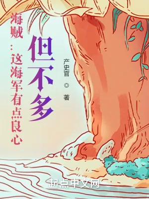 《海贼:这海军有点良心,但不多》小说封面
