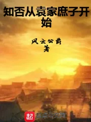 《知否从袁家庶子开始》小说封面
