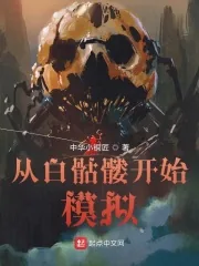 《从白骷髅开始模拟》小说封面