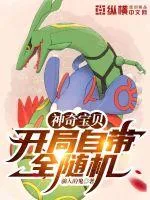 《神奇宝贝：开局自带全随机》小说封面