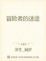 《冒险者的迷途》小说封面