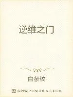 《逆维之门》小说封面