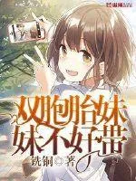 《双胞胎妹妹不好带》小说封面