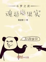 《斗罗之武魂恶魔果实》小说封面
