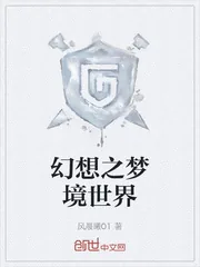 《幻想之梦境世界》小说封面