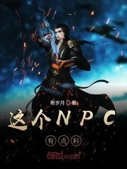 《这个NPC有点料》小说封面