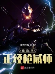 《我真是正经枪械师》小说封面