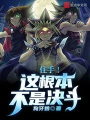 《住手！这根本不是决斗！》小说封面