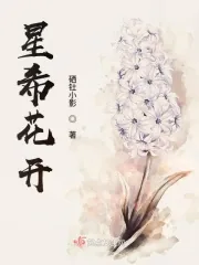 《星希花开》小说封面
