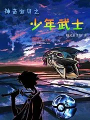 《神奇宝贝之少年武士》小说封面
