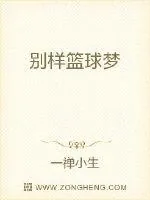 《别样篮球梦》小说封面