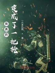 《我真的变成了一把枪》小说封面