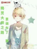 《精灵大师之路》小说封面