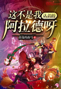 《这不是我认识的阿拉德呀》小说封面