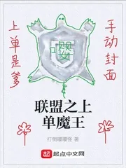 《联盟之上单魔王》小说封面