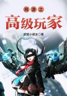 《网游之高级玩家》小说封面