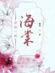 《还缺一树海棠》小说封面