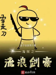 《海贼之流浪剑豪》小说封面