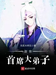 《剑宗首席大弟子》小说封面