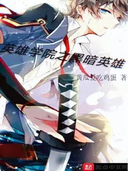 《英雄学院之黑暗英雄》小说封面
